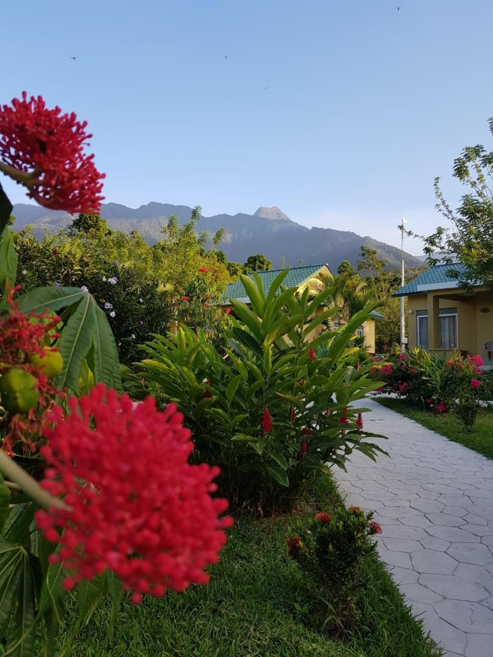 Corinto Pearl Eco Resort El Pino Exterior foto